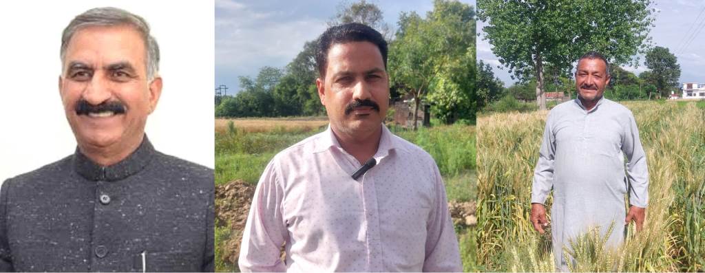 Sukhu Government Promotes Natural Farming on a Large Scale MSP Hike Boosts Farmers Confidence